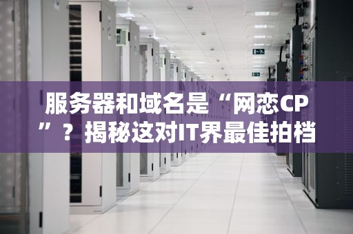 服务器和域名是“网恋CP”？揭秘这对IT界最佳拍档的日常！