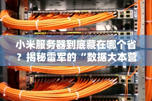 小米服务器到底藏在哪个省？揭秘雷军的“数据大本营”！（附专业测评）