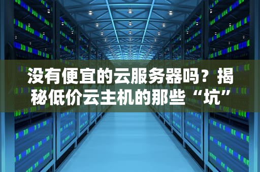 没有便宜的云服务器吗？揭秘低价云主机的那些“坑”与“香”