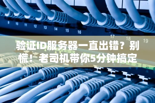 验证ID服务器一直出错？别慌！老司机带你5分钟搞定“身份危机”