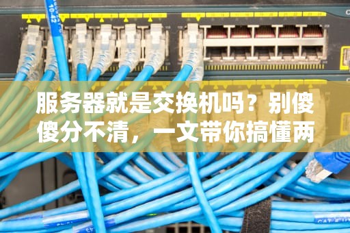 服务器就是交换机吗？别傻傻分不清，一文带你搞懂两者区别！