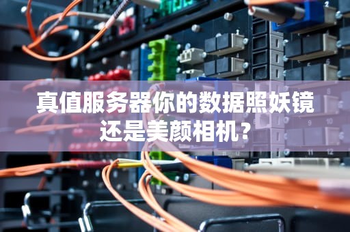 真值服务器你的数据照妖镜还是美颜相机？