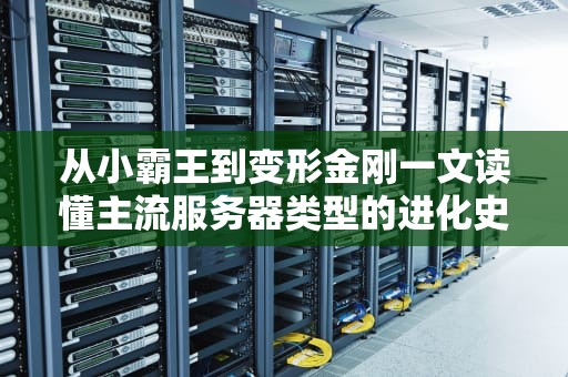 从小霸王到变形金刚一文读懂主流服务器类型的进化史