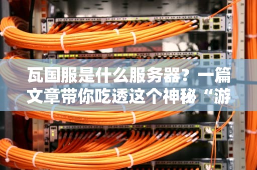 瓦国服是什么服务器？一篇文章带你吃透这个神秘“游戏圈新宠”！