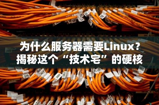 为什么服务器需要Linux？揭秘这个“技术宅”的硬核魅力！