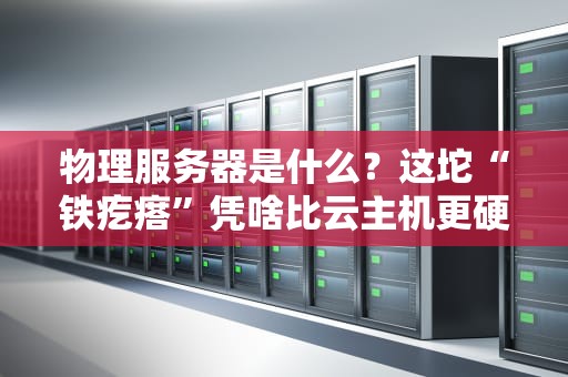 物理服务器是什么？这坨“铁疙瘩”凭啥比云主机更硬核？