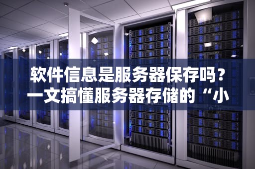 软件信息是服务器保存吗？一文搞懂服务器存储的“小秘密”