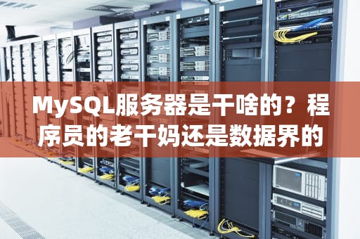 MySQL服务器是干啥的？程序员的老干妈还是数据界的集装箱？