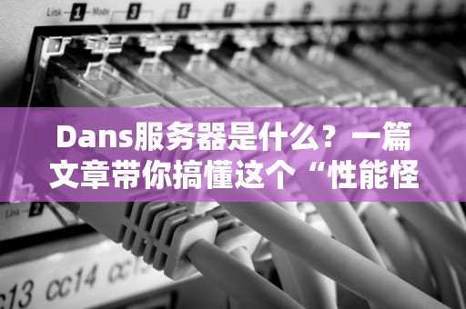Dans服务器是什么？一篇文章带你搞懂这个“性能怪兽”的奥秘！