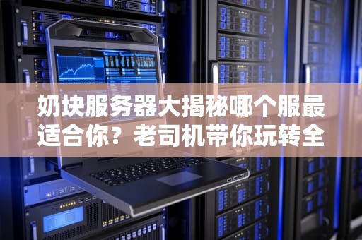 奶块服务器大揭秘哪个服最适合你？老司机带你玩转全平台！