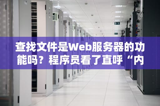查找文件是Web服务器的功能吗？程序员看了直呼“内行”的硬核科普！
