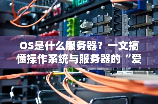 OS是什么服务器？一文搞懂操作系统与服务器的“爱恨情仇”