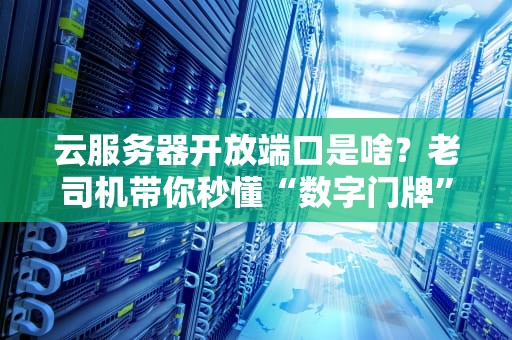云服务器开放端口是啥？老司机带你秒懂“数字门牌”的奥秘！