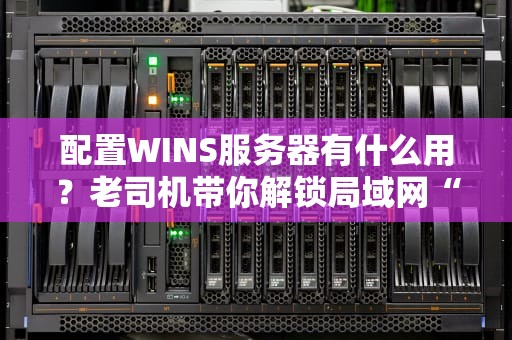 配置WINS服务器有什么用？老司机带你解锁局域网“通讯录”的奥秘！