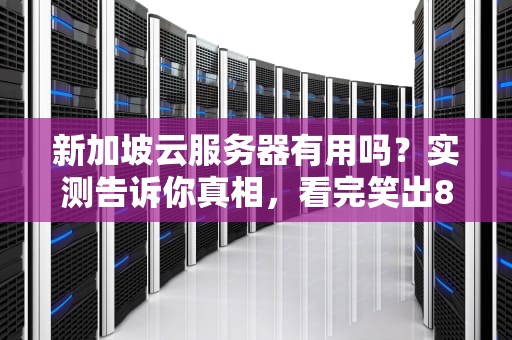 新加坡云服务器有用吗？实测告诉你真相，看完笑出8块腹肌！