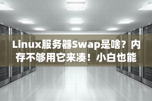 Linux服务器Swap是啥？内存不够用它来凑！小白也能秒懂的专业科普