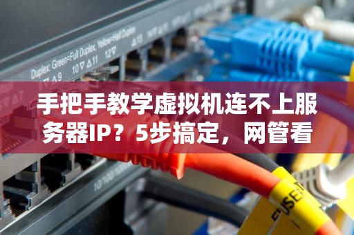 手把手教学虚拟机连不上服务器IP？5步搞定，网管看了都点赞！