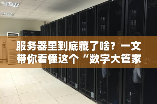 服务器里到底藏了啥？一文带你看懂这个“数字大管家”的十八般武艺！