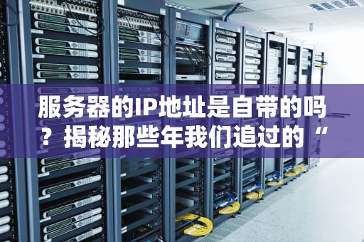 服务器的IP地址是自带的吗？揭秘那些年我们追过的“数字门牌号”