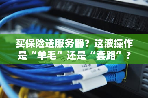 买保险送服务器？这波操作是“羊毛”还是“套路”？专业测评博主带你扒一扒！