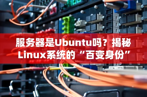 服务器是Ubuntu吗？揭秘Linux系统的“百变身份”与选型指南