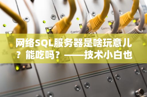 网络SQL服务器是啥玩意儿？能吃吗？——技术小白也能看懂的硬核科普！