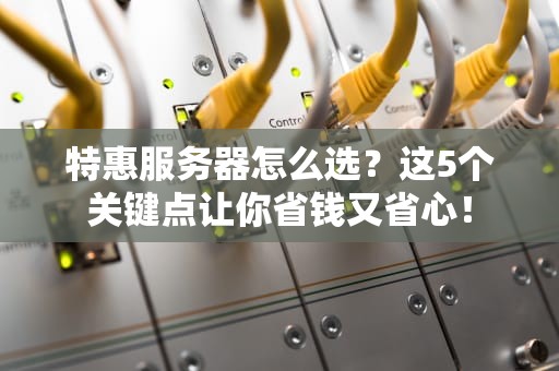 特惠服务器怎么选？这5个关键点让你省钱又省心！