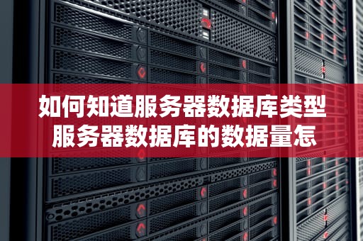 如何知道服务器数据库类型 服务器数据库的数据量怎么查询