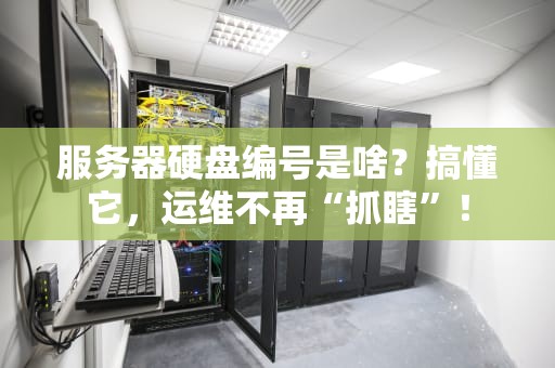 服务器硬盘编号是啥？搞懂它，运维不再“抓瞎”！