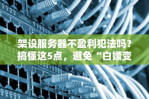 架设服务器不盈利犯法吗？搞懂这5点，避免“白嫖变铁窗泪”！