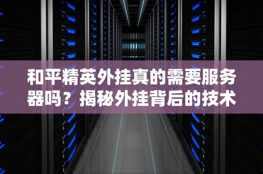和平精英外挂真的需要服务器吗？揭秘外挂背后的技术猫腻！
