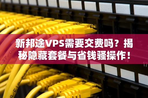 新邦途VPS需要交费吗？揭秘隐藏套餐与省钱骚操作！