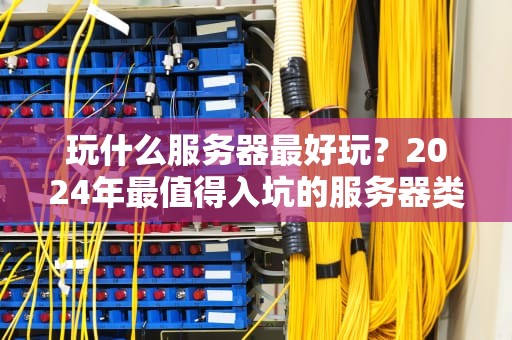 玩什么服务器最好玩？2024年最值得入坑的服务器类型大揭秘！