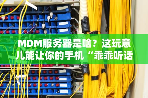 MDM服务器是啥？这玩意儿能让你的手机“乖乖听话”！
