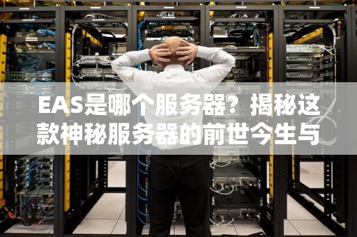 EAS是哪个服务器？揭秘这款神秘服务器的前世今生与实战表现！