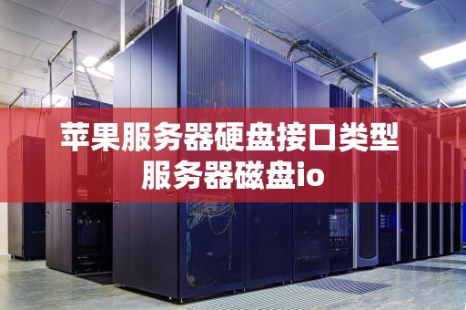 苹果服务器硬盘接口类型 服务器磁盘io