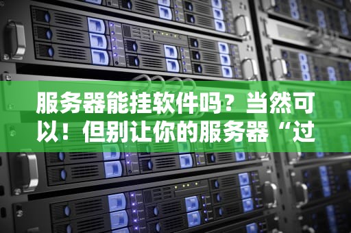 服务器能挂软件吗？当然可以！但别让你的服务器“过劳死”哦~