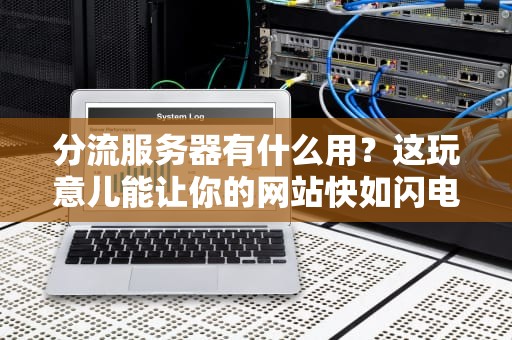 分流服务器有什么用？这玩意儿能让你的网站快如闪电！