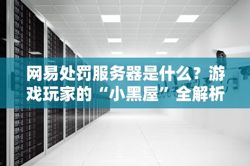 网易处罚服务器是什么？游戏玩家的“小黑屋”全解析！