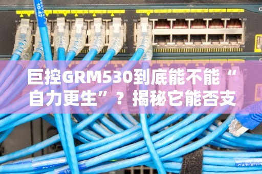巨控GRM530到底能不能“自力更生”？揭秘它能否支持自家服务器的真相！