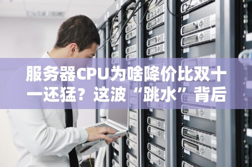 服务器CPU为啥降价比双十一还猛？这波“跳水”背后的硬核真相！