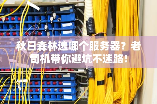 秋日森林选哪个服务器？老司机带你避坑不迷路！