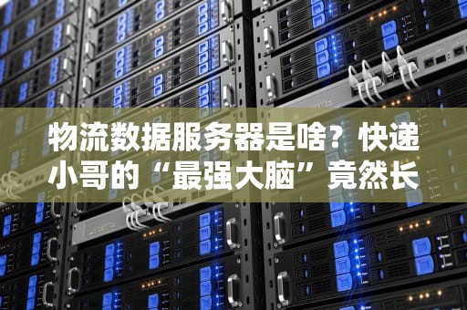 物流数据服务器是啥？快递小哥的“最强大脑”竟然长这样！