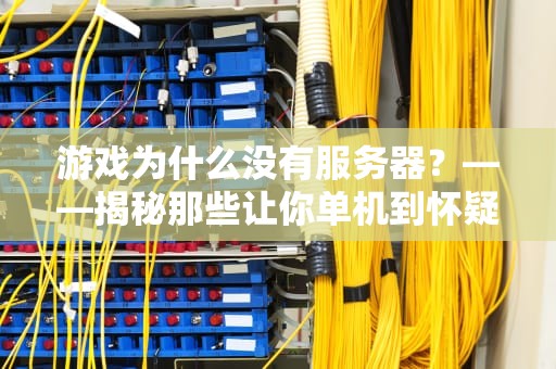 游戏为什么没有服务器？——揭秘那些让你单机到怀疑人生的真相