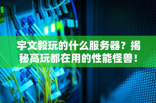 宇文毅玩的什么服务器？揭秘高玩都在用的性能怪兽！