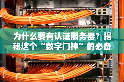 为什么要有认证服务器？揭秘这个“数字门神”的必备技能！