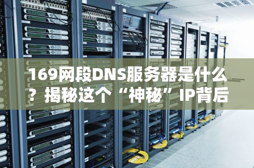 169网段DNS服务器是什么？揭秘这个“神秘”IP背后的故事！