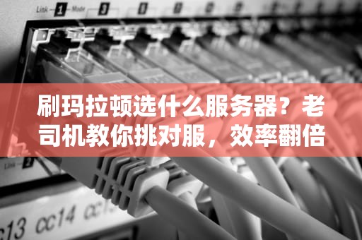 刷玛拉顿选什么服务器？老司机教你挑对服，效率翻倍不翻车！