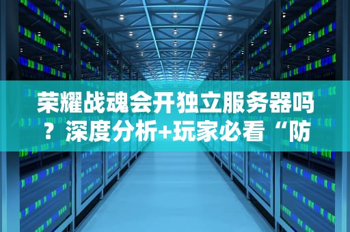 荣耀战魂会开独立服务器吗？深度分析+玩家必看“防掉线指南”