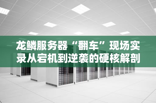 龙鳞服务器“翻车”现场实录从宕机到逆袭的硬核解剖！